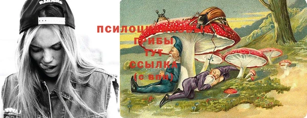 тгк Абаза
